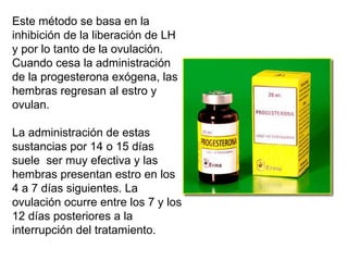 Este método se basa en la inhibición de la liberación de LH y por lo tanto de la ovulación. Cuando cesa la administración de la progesterona exógena, las hembras regresan al estro y ovulan.  La administración de estas sustancias por 14 o 15 días suele  ser muy efectiva y las hembras presentan estro en los 4 a 7 días siguientes. La ovulación ocurre entre los 7 y los 12 días posteriores a la interrupción del tratamiento.  