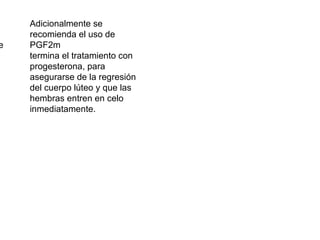 Adicionalmente se recomienda el uso de PGF2una vez que se termina el tratamiento con progesterona, para asegurarse de la regresión del cuerpo lúteo y que las hembras entren en celo inmediatamente. 