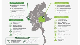 Making Vegetable Markets Work