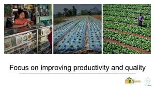 Making Vegetable Markets Work