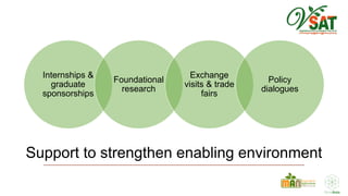 Making Vegetable Markets Work