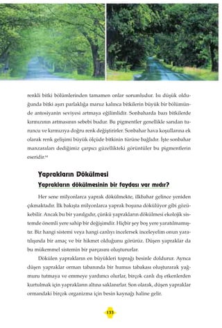 Yeşil mucize. fotosentez. turkish (türkçe)