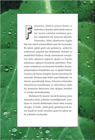 Yeşil mucize. fotosentez. turkish (türkçe)