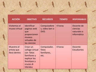 ACCIÓN         OBJETIVO         RECURSOS       TIEMPO   RESPONSABLES


Visitemos el    Identificar       Computadore 4 horas      Docente de
museo virtual   paginas web       s, video ben o           ciencias
                que               DVD.                     naturales e
                proporcionen                               informática
                museos
                virtuales de
                las ciencias
Muestro el      Crear un          Computador,   4 horas    Docente
artista que     collage virtual   fotos                    Estudiantes
llevo dentro    con fotos         familiares,
                familiares y      etc.
                explicar los
                fenotipos y
                cruces di
                híbridos
 