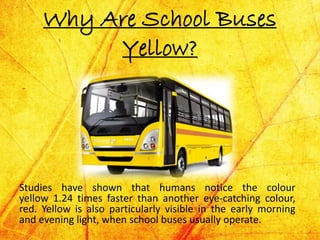 Why Are School Buses
Yellow?
Studies have shown that humans notice the colour
yellow 1.24 times faster than another eye-catching colour,
red. Yellow is also particularly visible in the early morning
and evening light, when school buses usually operate.
 