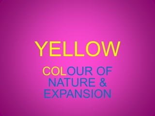 YELLOW
COLOUR OF
NATURE &
EXPANSION
 