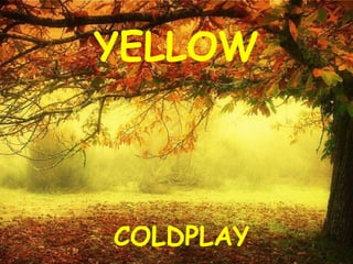 YELLOW COLDPLAY