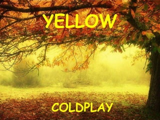 YELLOW COLDPLAY 