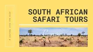 SOUTH AFRICAN
SAFARI TOURS
A
journey
into
the
wild
 