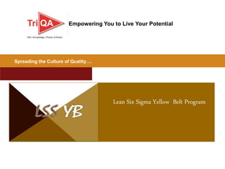 Copyright © 2015 Triumph Institute of Quality Application
Lean Six Sigma Yellow Belt Program
Spreading the Culture of Quality….
Empowering You to Live Your Potential
 