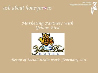 Marketing Partners with  Yellow Bird Recap of Social Media work, February 2011 