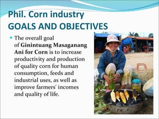 Phil. Corn industry GOALS AND OBJECTIVES The overall goal of  Ginintuang Masaganang Ani for   Corn  is to increase productivity and production of quality corn for human consumption, feeds and industrial uses, as well as improve farmers' incomes and quality of life. 