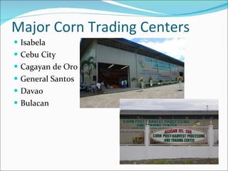 Major Corn Trading Centers Isabela Cebu City Cagayan de Oro General Santos Davao Bulacan 