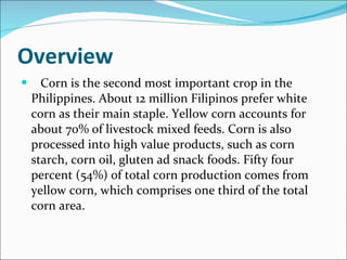 Overview     Corn is the second most important crop in the Philippines. About 12 million Filipinos prefer white corn as their main staple. Yellow corn accounts for about 70% of livestock mixed feeds. Corn is also processed into high value products, such as corn starch, corn oil, gluten ad snack foods. Fifty four percent (54%) of total corn production comes from yellow corn, which comprises one third of the total corn area. 