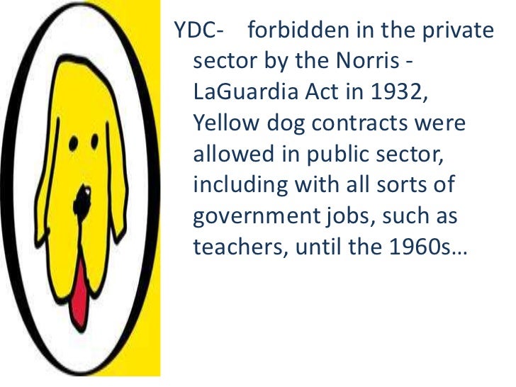Yellow dog contract