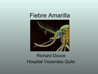 Fiebre Amarilla Richard Douce Hospital Vozandes Quito 