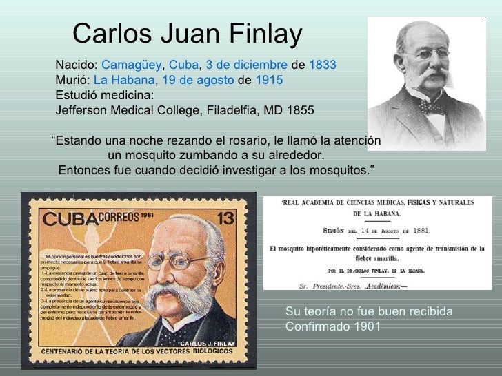 yellow-fever-14-728.jpg (728&times;546)