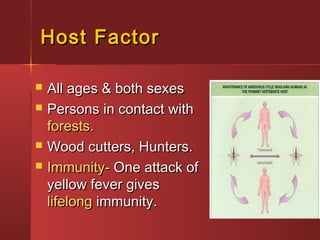 Host FactorHost Factor
 All ages & both sexesAll ages & both sexes
 Persons in contact withPersons in contact with
forests.forests.
 Wood cutters, Hunters.Wood cutters, Hunters.
 Immunity-Immunity- One attack ofOne attack of
yellow fever givesyellow fever gives
lifelonglifelong immunity.immunity.
 