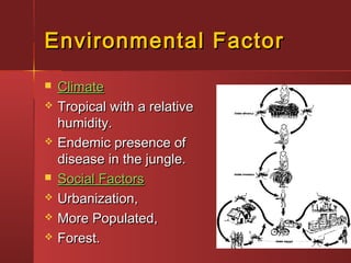Environmental FactorEnvironmental Factor
 ClimateClimate
 Tropical with a relativeTropical with a relative
humidity.humidity.
 Endemic presence ofEndemic presence of
disease in the jungle.disease in the jungle.
 Social FactorsSocial Factors
 Urbanization,Urbanization,
 More Populated,More Populated,
 Forest.Forest.
 