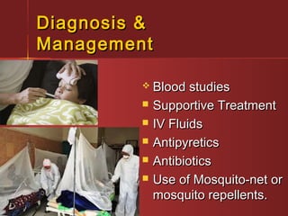 Diagnosis &Diagnosis &
ManagementManagement
 Blood studiesBlood studies
 Supportive TreatmentSupportive Treatment
 IV FluidsIV Fluids
 AntipyreticsAntipyretics
 AntibioticsAntibiotics
 Use of Mosquito-net orUse of Mosquito-net or
mosquito repellents.mosquito repellents.
 