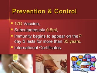 Prevention & ControlPrevention & Control
 17D17D Vaccine,Vaccine,
 SubcutaneouslySubcutaneously 0.5ml0.5ml,,
 Immunity begins to appear on theImmunity begins to appear on the77thth
day & lasts for more thanday & lasts for more than 35 years35 years..
 International Certificates.International Certificates.
 