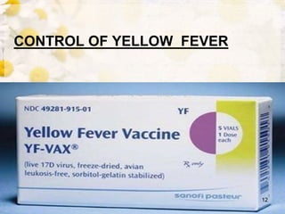 CONTROL OF YELLOW FEVER
12
 