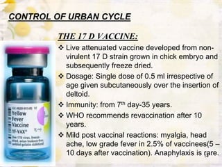CONTROL OF URBAN CYCLE
THE 17 D VACCINE:
 Live attenuated vaccine developed from non-
virulent 17 D strain grown in chick embryo and
subsequently freeze dried.
 Dosage: Single dose of 0.5 ml irrespective of
age given subcutaneously over the insertion of
deltoid.
 Immunity: from 7th day-35 years.
 WHO recommends revaccination after 10
years.
 Mild post vaccinal reactions: myalgia, head
ache, low grade fever in 2.5% of vaccinees(5 –
10 days after vaccination). Anaphylaxis is rare.14
 