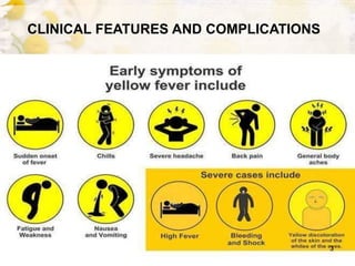 CLINICAL FEATURES AND COMPLICATIONS
3
 