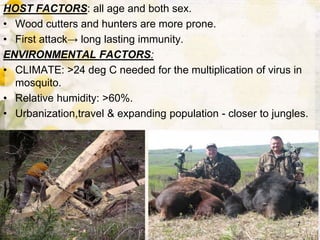 HOST FACTORS: all age and both sex.
• Wood cutters and hunters are more prone.
• First attack→ long lasting immunity.
ENVIRONMENTAL FACTORS:
• CLIMATE: >24 deg C needed for the multiplication of virus in
mosquito.
• Relative humidity: >60%.
• Urbanization,travel & expanding population - closer to jungles.
7
 