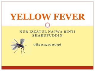 NUR IZZATUL NAJWA BINTI
SHARUPUDDIN
082015100036
YELLOW FEVER
 