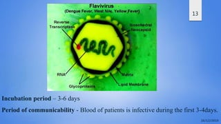 13
Incubation period – 3-6 days
Period of communicability - Blood of patients is infective during the first 3-4days.
 