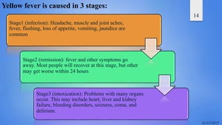 14
Stage1 (infection): Headache, muscle and joint aches,
fever, flushing, loss of appetite, vomiting, jaundice are
common
Stage2 (remission): fever and other symptoms go
away. Most people will recover at this stage, but other
may get worse within 24 hours
Stage3 (intoxication): Problems with many organs
occur. This may include heart, liver and kidney
failure, bleeding disorders, seizures, coma, and
delirium.
Yellow fever is caused in 3 stages:
 