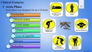 15
Clinical Features:
 Acute Phase
Acute phase may disappear for up to 24 hours.
Headaches
Muscle aches
Joint aches
Fever
Loss of appetite
Shivers
Backaches
 