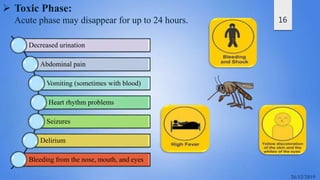 16
 Toxic Phase:
Acute phase may disappear for up to 24 hours.
Decreased urination
Abdominal pain
Vomiting (sometimes with blood)
Heart rhythm problems
Seizures
Delirium
Bleeding from the nose, mouth, and eyes
 