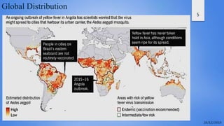 5
Global Distribution
 