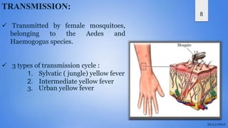 8
TRANSMISSION:
 Transmitted by female mosquitoes,
belonging to the Aedes and
Haemogogus species.
 3 types of transmission cycle :
1. Sylvatic ( jungle) yellow fever
2. Intermediate yellow fever
3. Urban yellow fever
 