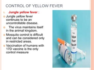 CONTROL OF YELLOW FEVER
1. Jungle yellow fever :
 Jungle yellow fever
continues to be an
uncontrollable disease.
 The virus maintains itself
in the animal kingdom.
 Mosquito control is difficult
and can be considered only
in restricted areas.
 Vaccination of humans with
17D vaccine is the only
control measure
 