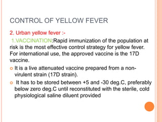 CONTROL OF YELLOW FEVER
2. Urban yellow fever :-
1.VACCINATION:Rapid immunization of the population at
risk is the most effective control strategy for yellow fever.
For international use, the approved vaccine is the 17D
vaccine.
 It is a live attenuated vaccine prepared from a non-
virulent strain (17D strain).
 It has to be stored between +5 and -30 deg.C, preferably
below zero deg.C until reconstituted with the sterile, cold
physiological saline diluent provided
 