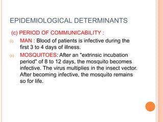 EPIDEMIOLOGICAL DETERMINANTS
(c) PERIOD OF COMMUNICABILITY :
(i) MAN : Blood of patients is infective during the
first 3 to 4 days of illness.
(ii) MOSQUITOES: After an "extrinsic incubation
period" of 8 to 12 days, the mosquito becomes
infective. The virus multiplies in the insect vector.
After becoming infective, the mosquito remains
so for life.
 