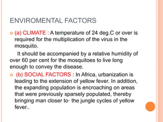ENVIROMENTAL FACTORS
 (a) CLIMATE : A temperature of 24 deg.C or over is
required for the multiplication of the virus in the
mosquito.
It should be accompanied by a relative humidity of
over 60 per cent for the mosquitoes to live long
enough to convey the disease.
 (b) SOCIAL FACTORS : In Africa, urbanization is
leading to the extension of yellow fever. In addition,
the expanding population is encroaching on areas
that were previously sparsely populated, thereby
bringing man closer to· the jungle cycles of yellow
fever..
 