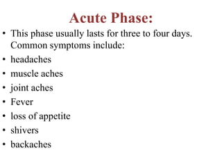 Acute Phase:
• This phase usually lasts for three to four days.
Common symptoms include:
• headaches
• muscle aches
• joint aches
• Fever
• loss of appetite
• shivers
• backaches
 