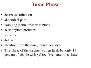 Toxic Phase
• decreased urination
• abdominal pain
• vomiting (sometimes with blood)
• heart rhythm problems
• seizures
• delirium
• bleeding from the nose, mouth, and eyes
• This phase of the disease is often fatal, but only 15
percent of people with yellow fever enter this phase.
 