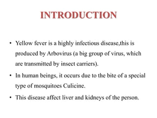 INTRODUCTION
• Yellow fever is a highly infectious disease,this is
produced by Arbovirus (a big group of virus, which
are transmitted by insect carriers).
• In human beings, it occurs due to the bite of a special
type of mosquitoes Culicine.
• This disease affect liver and kidneys of the person.
 