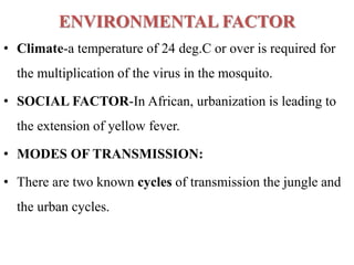 ENVIRONMENTAL FACTOR
• Climate-a temperature of 24 deg.C or over is required for
the multiplication of the virus in the mosquito.
• SOCIAL FACTOR-In African, urbanization is leading to
the extension of yellow fever.
• MODES OF TRANSMISSION:
• There are two known cycles of transmission the jungle and
the urban cycles.
 