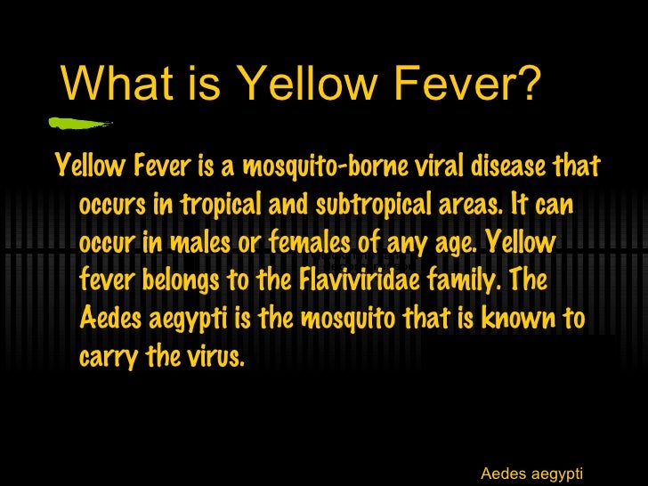 Yellow Fever The Disease