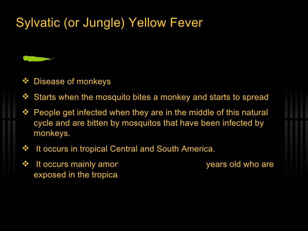 Yellow Fever The Disease