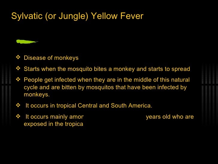 the disease yellow fever essay Yellow fever research papers examine the viral disease that is transmitted by female mosquitos and discuss the various symptoms. the disease yellow fever essay Yellow fever research papers examine the viral disease that is transmitted by female mosquitos and discuss the various symptoms.