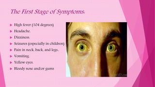 The First Stage of Symptoms:
 High fever (104 degrees)
 Headache.
 Dizziness.
 Seizures (especially in children)
 Pain in neck, back, and legs..
 Vomiting.
 Yellow eyes.
 Bloody nose and/or gums
 