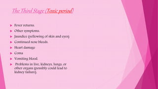 The Third Stage (Toxic period)
 Fever returns.
 Other symptoms:
 Jaundice (yellowing of skin and eyes)
 Continued nose bleeds.
 Heart damage
 Coma
 Vomiting blood.
 Problems in live, kidneys, lungs, or
other organs (possibly could lead to
kidney failure).
 
