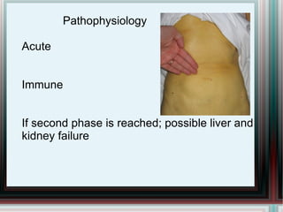 All ages and genders are open